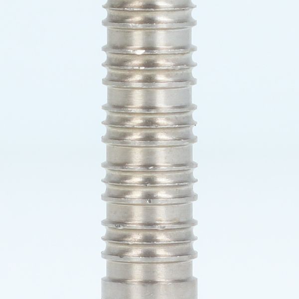 ����� Used �����ġ� TRiNiDAD(�ȥ�˥�����) MARGARITO(�ޥ륬�꡼��) 2BA ���ļ������ǥ��Ȣ����� ��RANK 3��