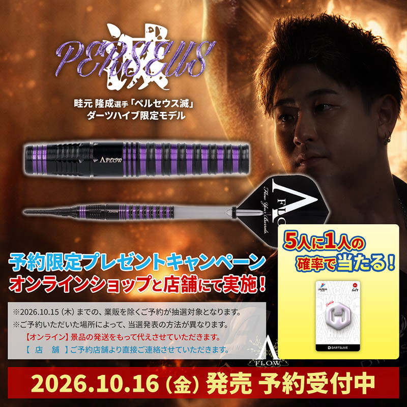 DEVISE WORKS デバイスワークス ダーツ 非売品 DEVISE WORKS (デバイスワークス) ダーツセット イベント出店ガチャ