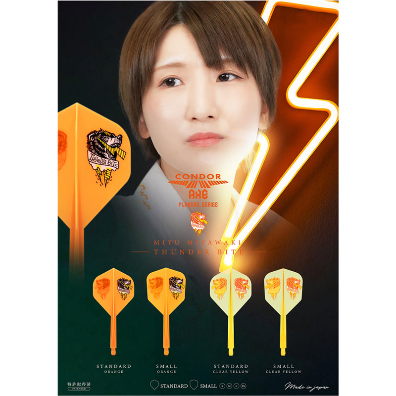 WEST. フライヤー各種 WEST. 映画フライヤー【3枚セット】10周年Anniversary LIVE
