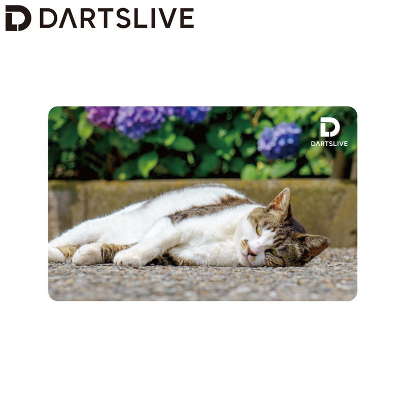DARTSLIVE CARD #060 ��07�䡡(������ ������)