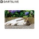DARTSLIVE CARD #060 ��07�䡡(������ ������)