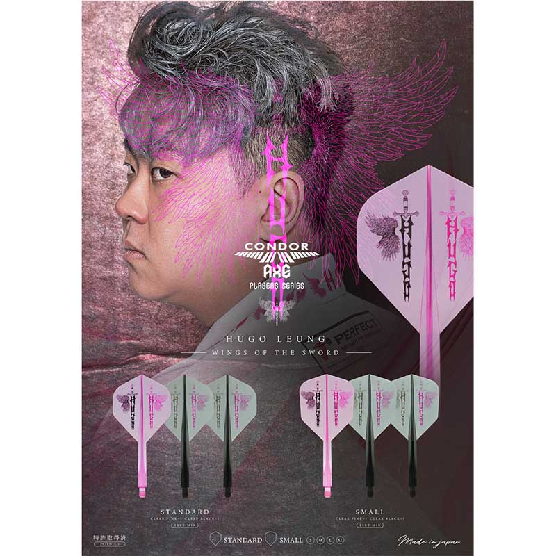 中古美品　トリニダード ヒューゴ モデル Sダーツ限定モデル AXEセット 中古美品 トリニダード ヒューゴ モデル Sダーツ限定モデル AXE