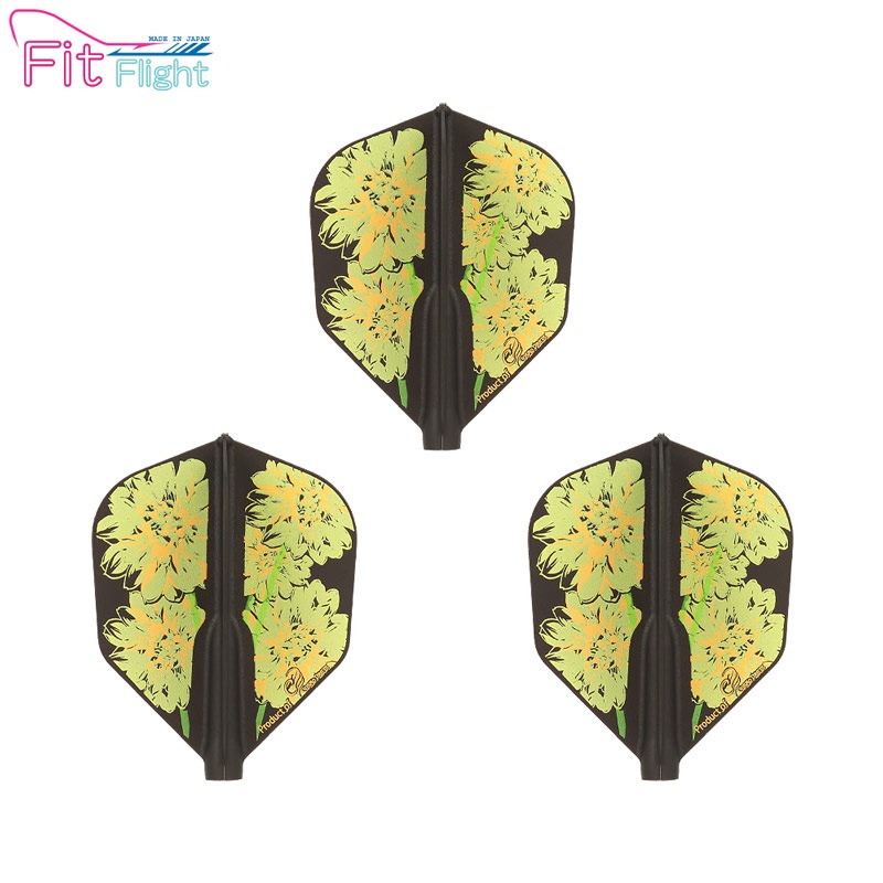 COSMO DARTS(�����������) Fit Flight(�ե��åȥե饤��) �� Nami Iwasaki ver.1 �� DARTS HIVE �������� D�֥�å� ������������ǥ롡(������ �ե饤��)