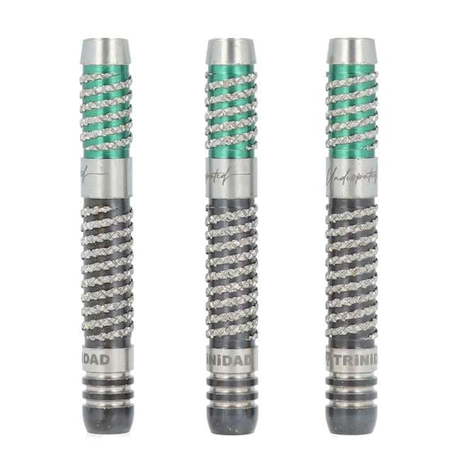 TRINIDAD Ricardo α 浅田斉吾　モデル　中古　送料込み ダーツ バレル TRiNiDAD Undisputed RICARDO 浅田斉吾 選手