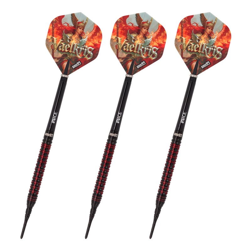 【廃盤レア品】WINMAU TED HANKEY ソフトチップダーツ 18g Winmau】ウィンマウ テッドハンキーted hankey 21g STEEL BK | ハード