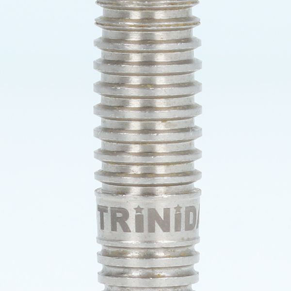 ����� Used �����ġ� TRiNiDAD(�ȥ�˥�����) Marco(�ޥ륳) 2BA �ڸ���������ǥ� ��RANK 3��