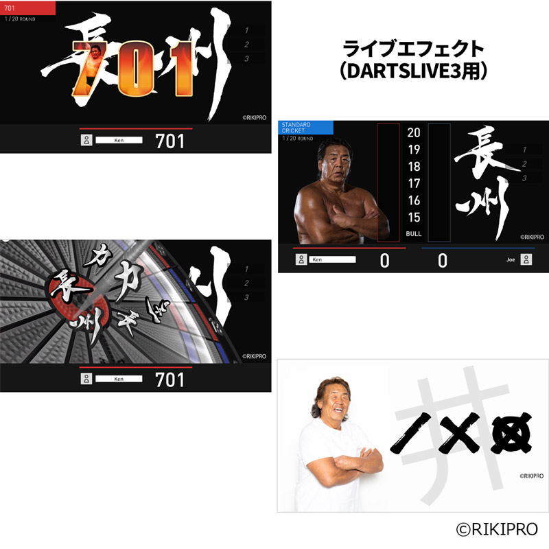 ダーツライブカード ニコニコ超会議 2025 会場限定 type Aセット ニコニコ超会議 2025 会場限定 type A ダーツ