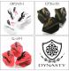 DYNASTY��L-Flight PRO(�����ʥ��ƥ����ߥ���ե饤�� �ץ�) �ѥ����ҥ������ ver.2 ���⡼�� �ѥ����ҥ�����������ǥ롡(������ �ե饤��)
