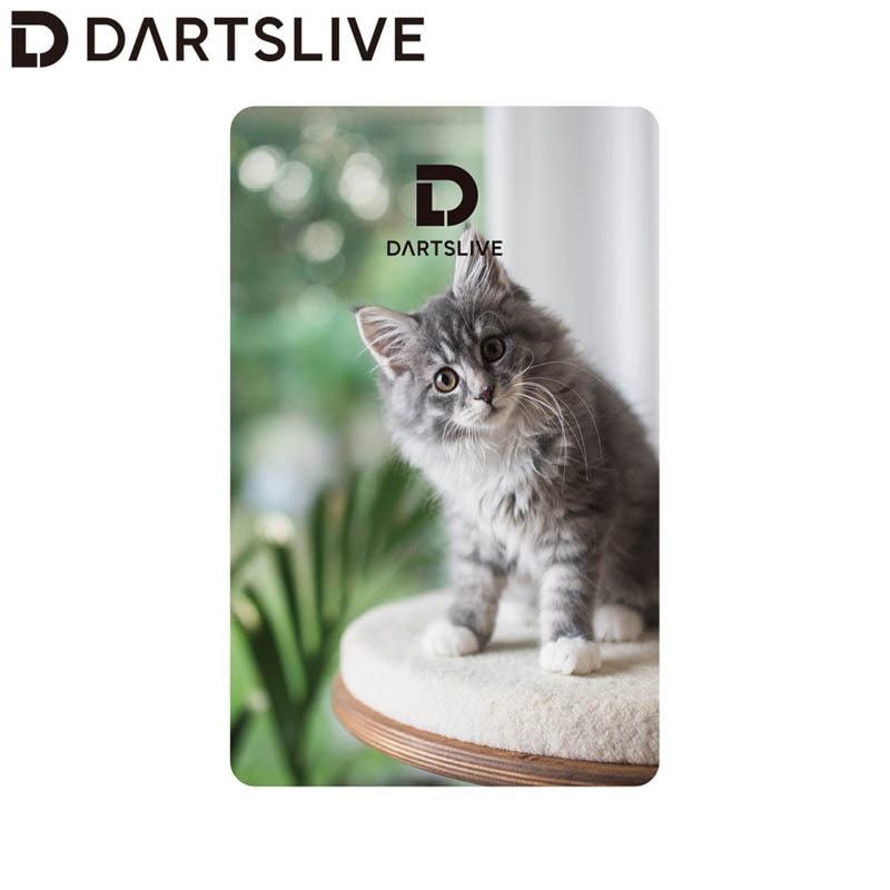 DARTSLIVE CARD #055 ��07�䡡(������ ������)