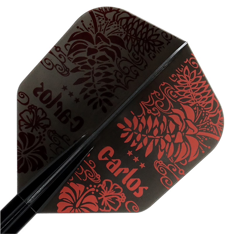 TRiNiDAD(ȥ˥) CONDORե饤(ɥե饤)  DEIGO ⡼ ܵȿǥ롡( ե饤)