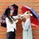 �ڶ��γ���оݳ���Dartsdesign Umbrella(�����ĥǥ����󥢥�֥��) BULL