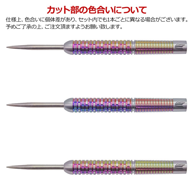 TARGET(�������å�) CARRERA SPORT COUPE(����饹�ݡ��� ������) STEEL(������ �Х��)