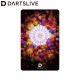 DARTSLIVE CARD #057 ��13�䡡(������ ������)