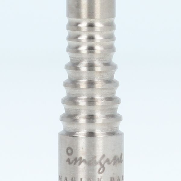 ����� Used �����ġ� Imagine Darts(���ޥ��������) PROTECTOR���꡼�� Geese(������) 2BA ��RANK 4��