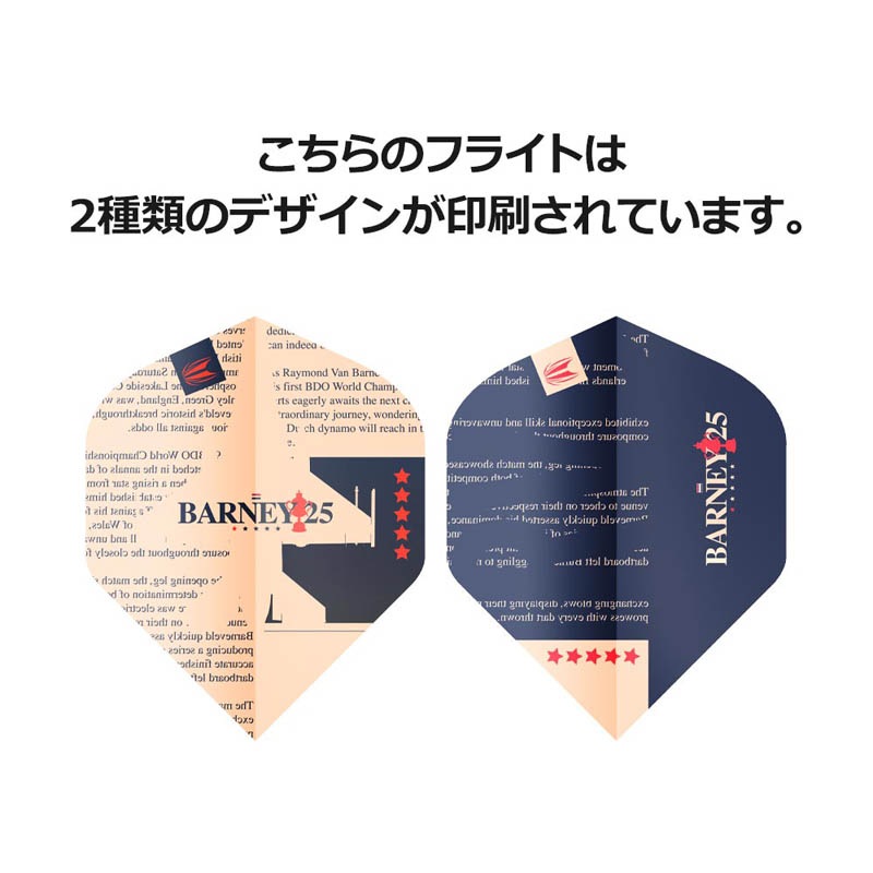 TARGET(�������å�) VISION ULTRA �ե饤�� BARNEY25��ǥ� ����������� 3set ��336970�� �쥤���ɡ������󡦥С��ʥ٥�������ǥ롡(������ �ե饤��)