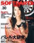 SOFT DARTS BIBLE Vol.30