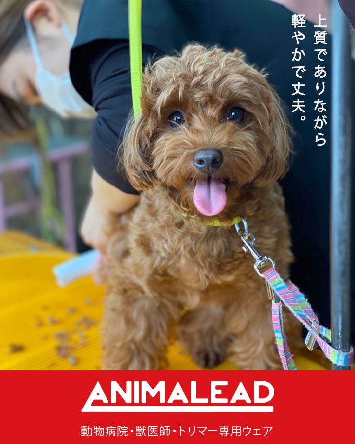 アニマリード スクラブパンツ パンツ 動物病院 獣医 トリマー