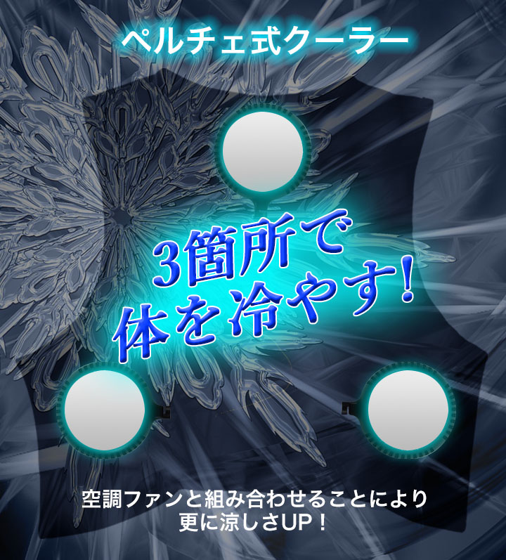 即日発送】ペルチェ 式 クーラーベスト 専用ベスト＆デバイスフル