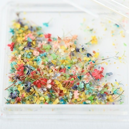 【CK】ドライフラワーB