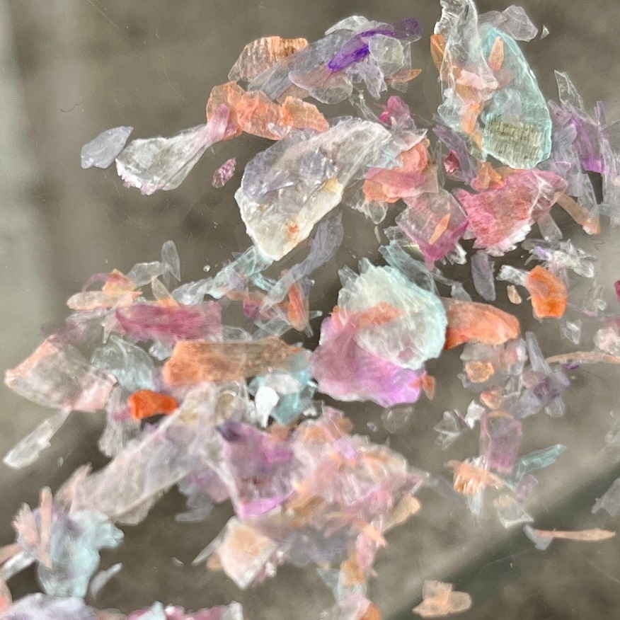 【NOVEL】フォフォサボン