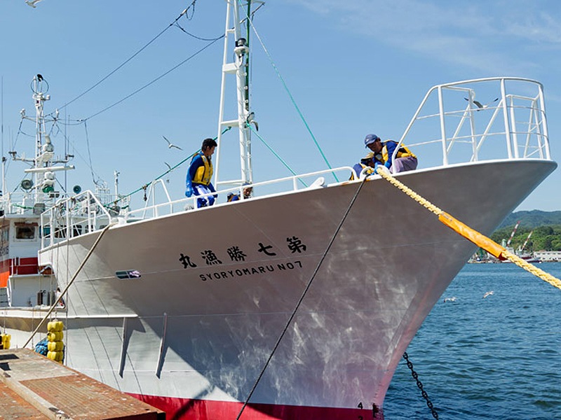 気仙沼ふかひれスープ