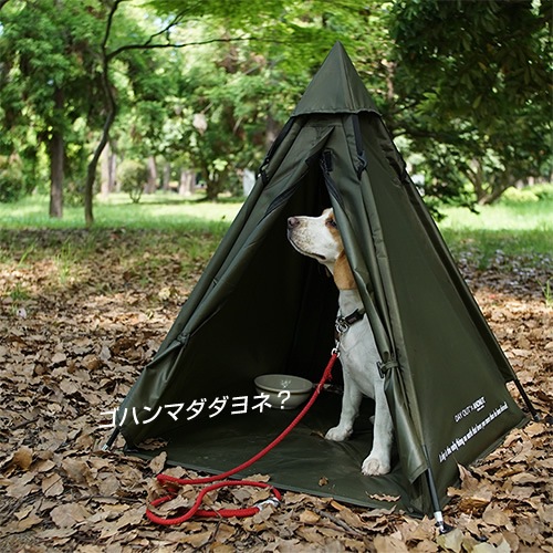  ƥ DO-650 / WOOF!!WOOF!! - DOG TIPI TENT. - / !!!! -ɥåѥƥԡƥ-