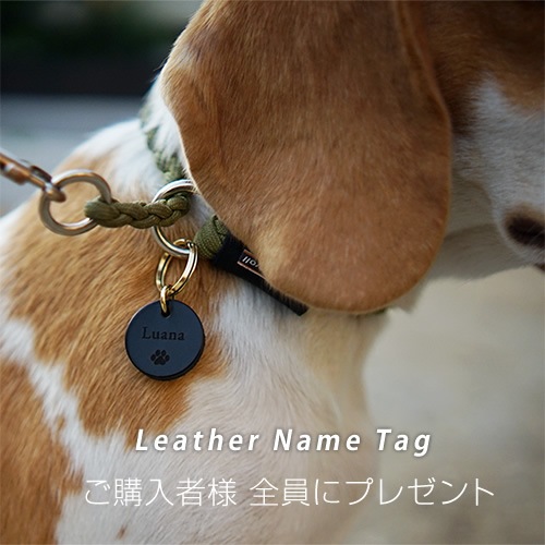  ƥ DO-650 / WOOF!!WOOF!! - DOG TIPI TENT. - / !!!! -ɥåѥƥԡƥ-