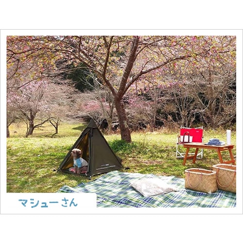  ƥ DO-650 / WOOF!!WOOF!! - DOG TIPI TENT. - / !!!! -ɥåѥƥԡƥ-