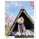  ƥ DO-650 / WOOF!!WOOF!! - DOG TIPI TENT. - / !!!! -ɥåѥƥԡƥ-