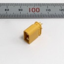 Amass XT-30UM ���ͥ����� A