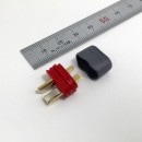 Amass ǥ󥺥סTͥ省åդ A