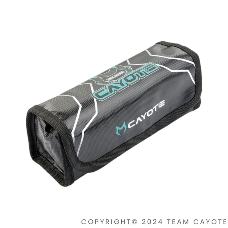 ���衼�� CAFB02 �Хåƥ꡼�����եХå�