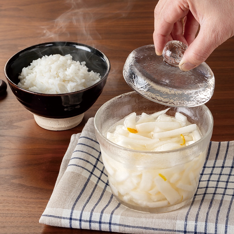 キッチンアシスト 浅漬けガラス 小 RE-7670