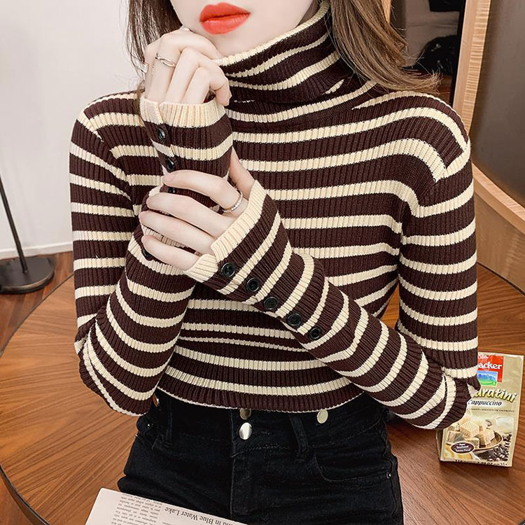 タートルネック ボーダー柄 長袖 ニット トップス