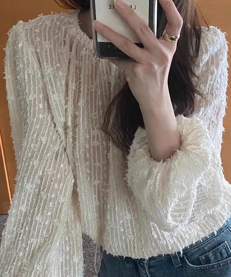 フェザーレース シアーブラウス トップス

