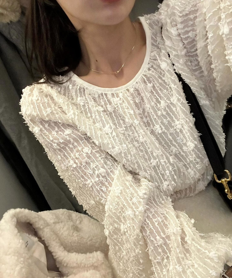 フェザーレース シアーブラウス トップス

