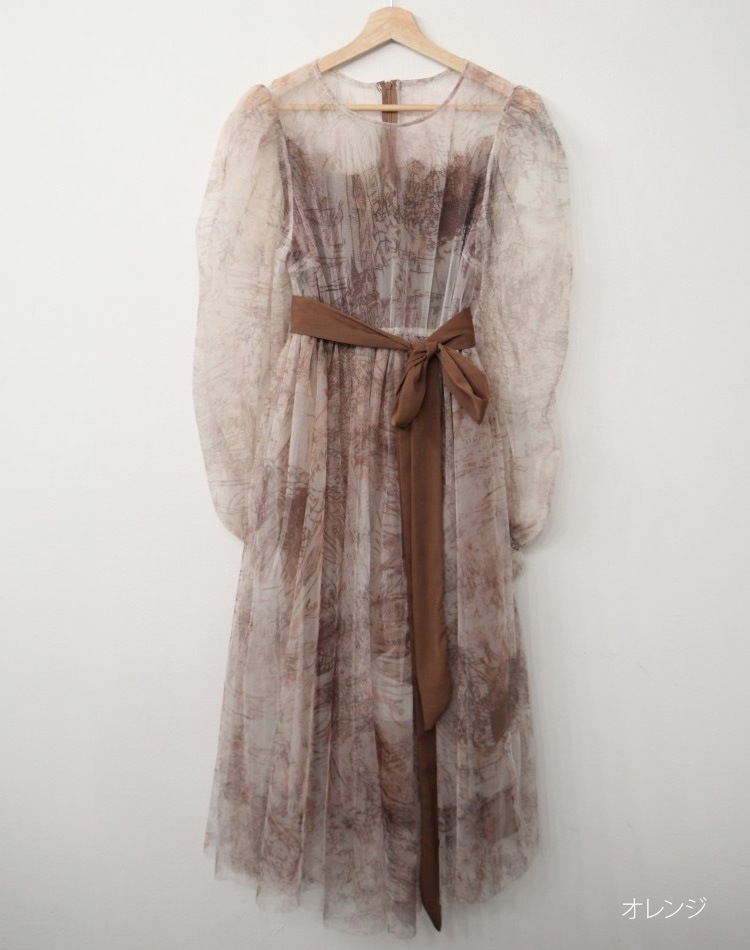 プリント柄 シースルー シフォン 長袖 ドレス ワンピース