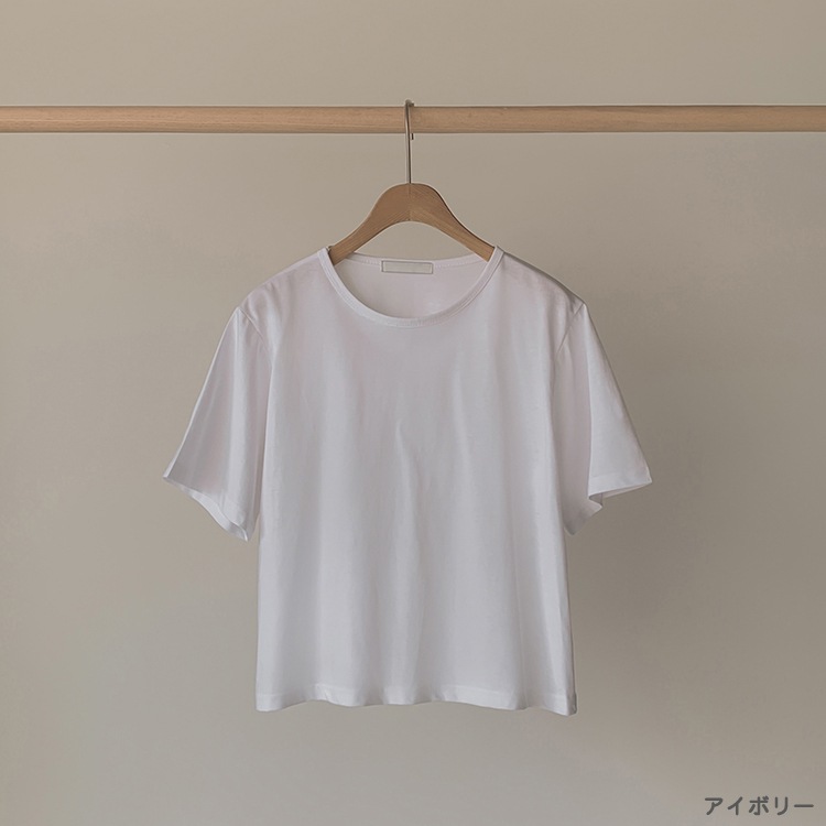 シャーベットカラー クロップド 半袖 Tシャツ