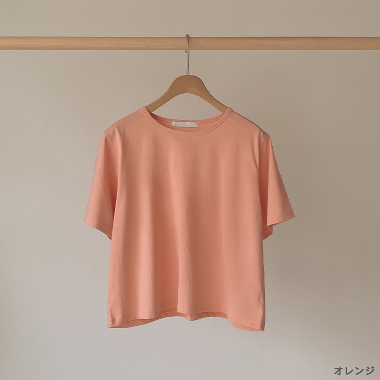 シャーベットカラー クロップド 半袖 Tシャツ
