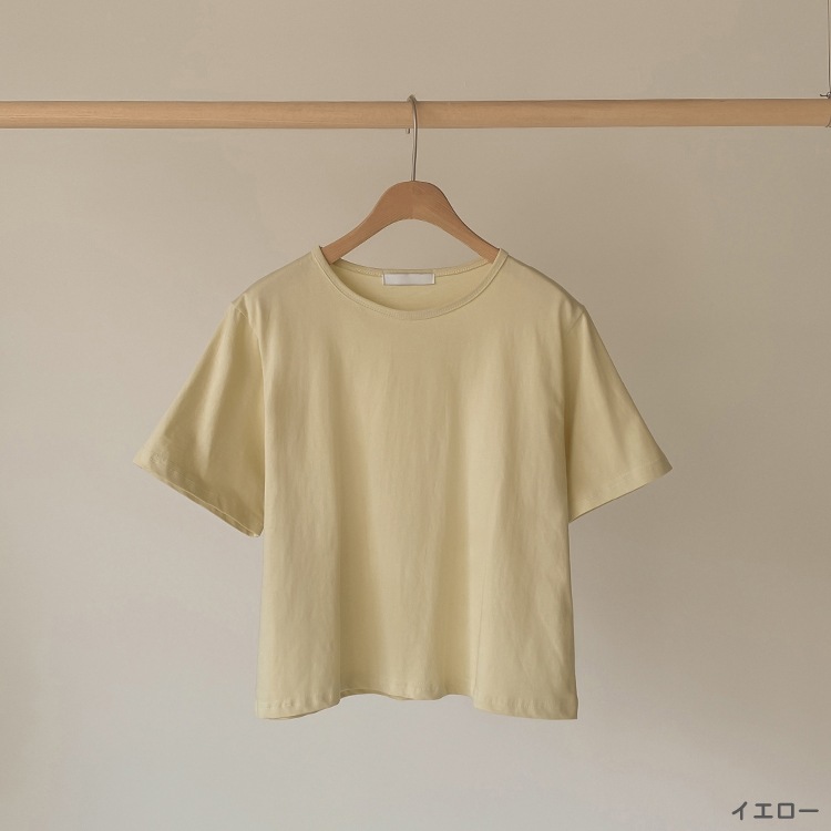 シャーベットカラー クロップド 半袖 Tシャツ
