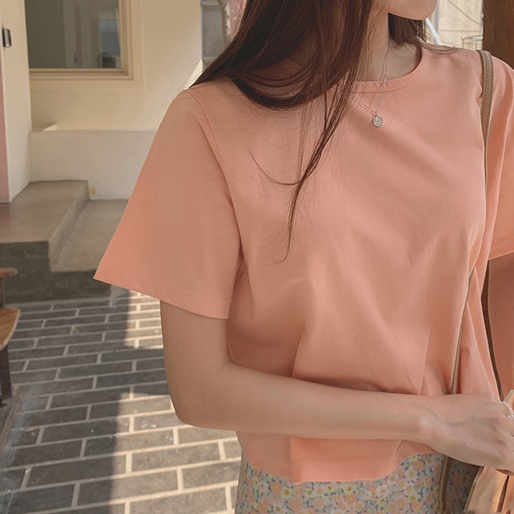 シャーベットカラー クロップド 半袖 Tシャツ