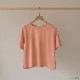 シャーベットカラー クロップド 半袖 Tシャツ