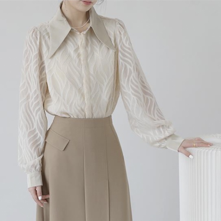 大きめ襟 エレガント 柄 シースルー 長袖 ブラウス