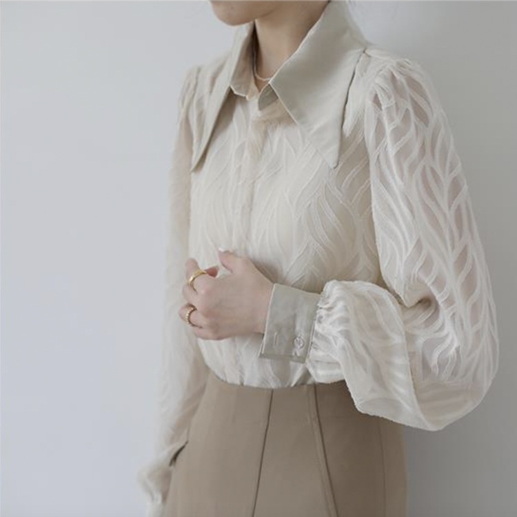 大きめ襟 エレガント 柄 シースルー 長袖 ブラウス