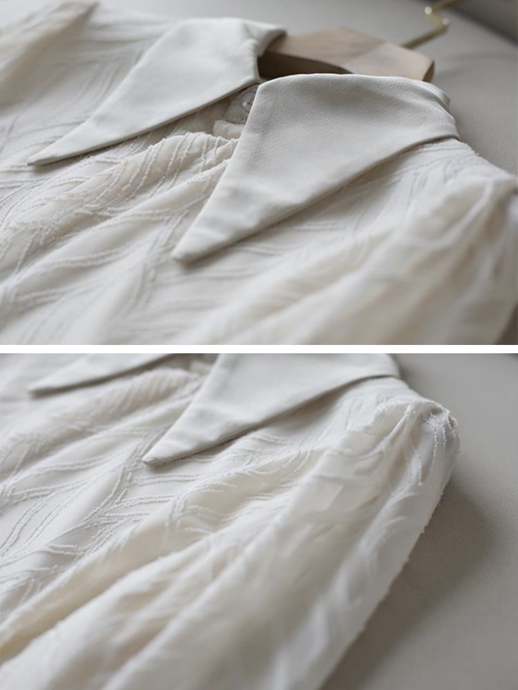 大きめ襟 エレガント 柄 シースルー 長袖 ブラウス