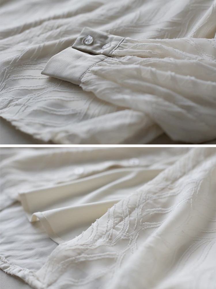 大きめ襟 エレガント 柄 シースルー 長袖 ブラウス