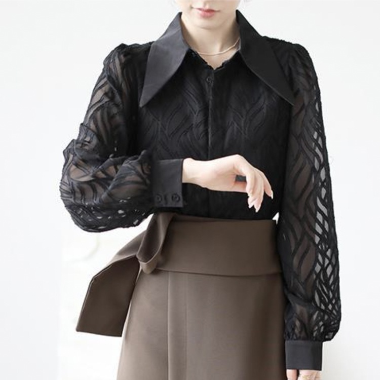 大きめ襟 エレガント 柄 シースルー 長袖 ブラウス