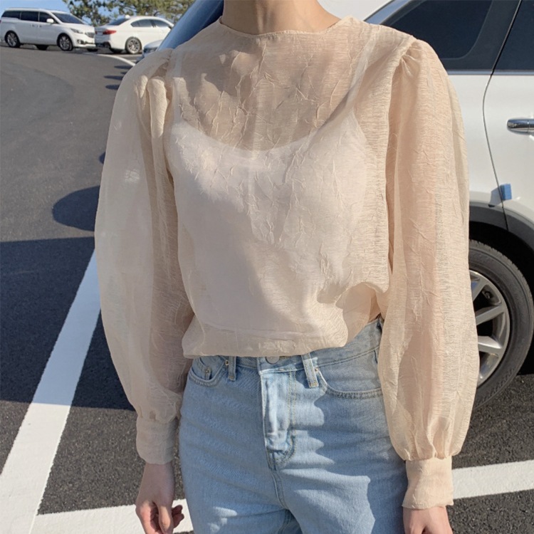 ぽわん袖 しわ加工 長袖 シアーブラウス