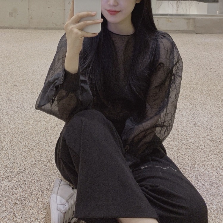 ぽわん袖 しわ加工 長袖 シアーブラウス