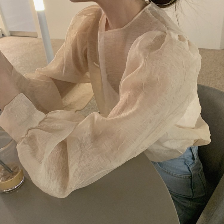 ぽわん袖 しわ加工 長袖 シアーブラウス